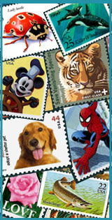 Collectible Hobby Banner