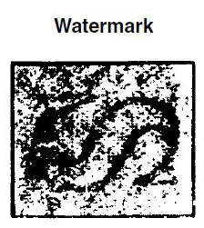 US 1898 stamps USPS Double-lined Watermark