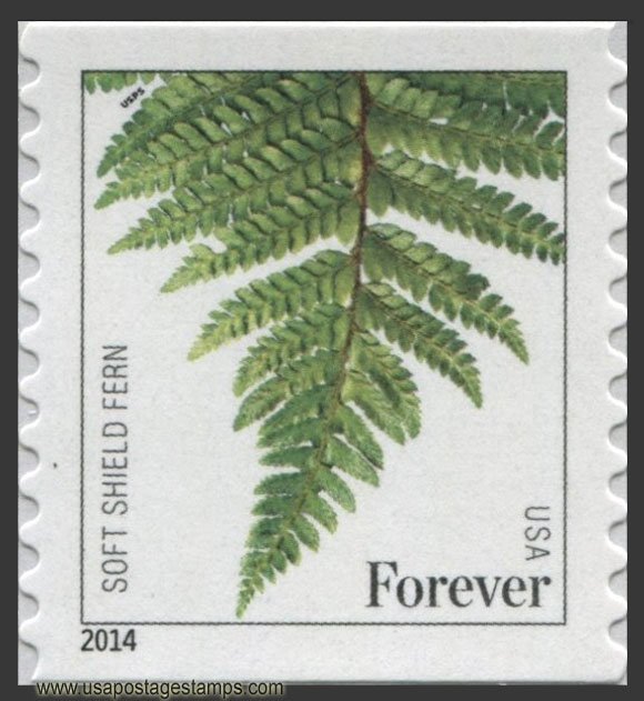 US 2015 Soft Shield Fern ; Coil 49c. Scott. 4973