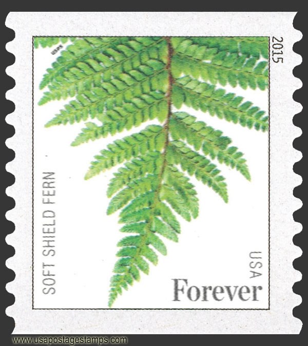 US 2015 Soft Shield Fern ; Coil 49c. Scott. 4973a
