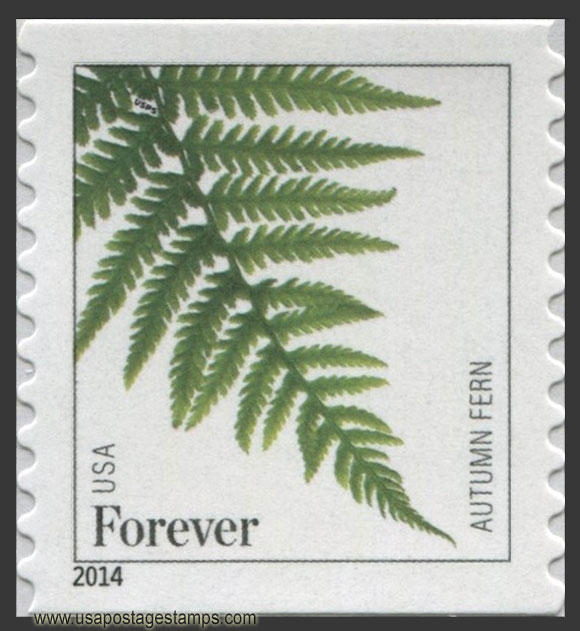 US 2015 Autumn Fern ; Coil 49c. Scott. 4974