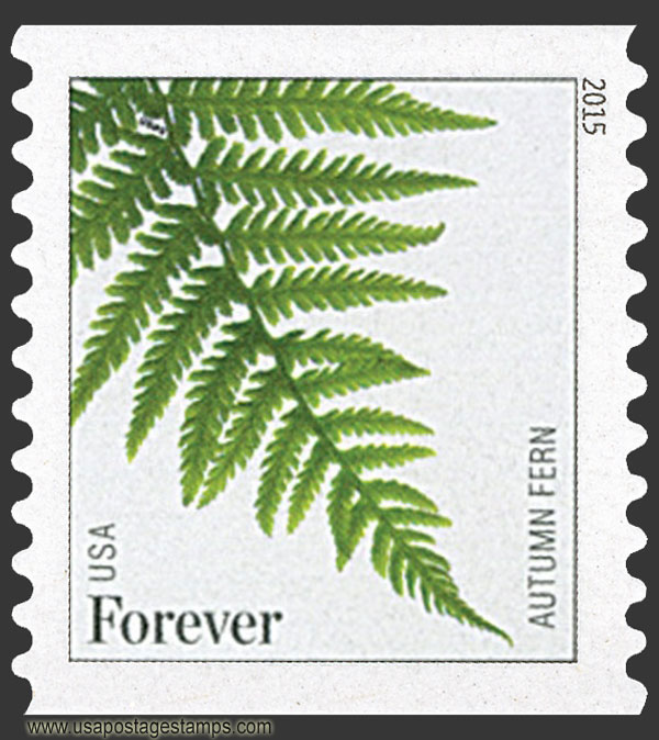 US 2015 Autumn Fern ; Coil 49c. Scott. 4974a
