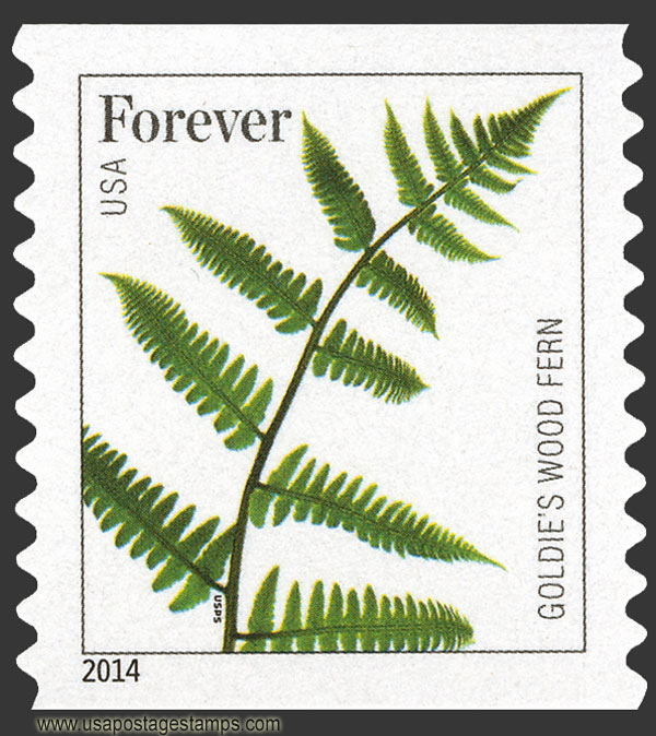 US 2015 Goldie's Wood Fern ; Coil 49c. Scott. 4975