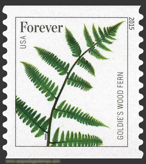 US 2015 Goldie's Wood Fern ; Coil 49c. Scott. 4975a