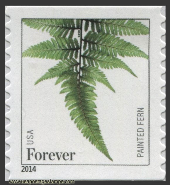 US 2015 Painted Fern ; Coil 49c. Scott. 4976