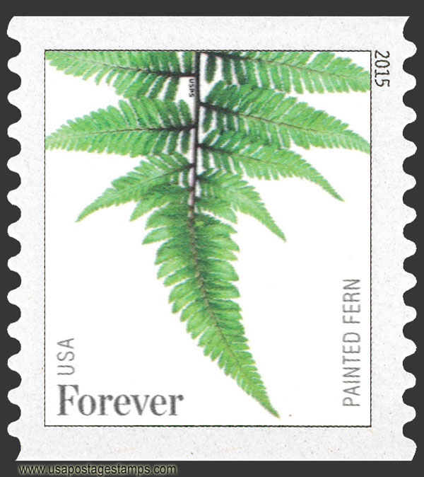 US 2015 Painted Fern ; Coil 49c. Scott. 4976a