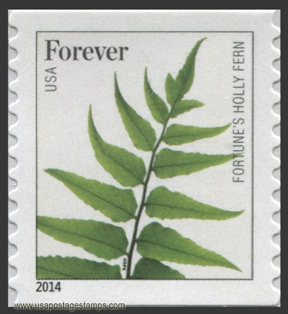 US 2015 Fortune�s Holly Fern ; Coil 49c. Scott. 4977