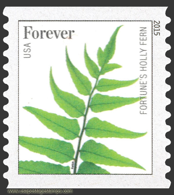 US 2015 Fortune�s Holly Fern ; Coil 49c. Scott. 4977a