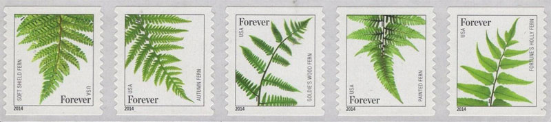 US 2015 Ferns ; Se-tenant Coil 49c.x5 Scott. 4977b