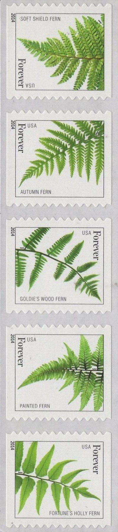 US 2015 Ferns ; Se-tenant Coil 49c.x5 Scott. 4977b