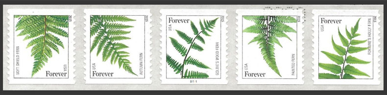 US 2015 Ferns ; Se-tenant Coil 49c.x5 Scott. 4977c