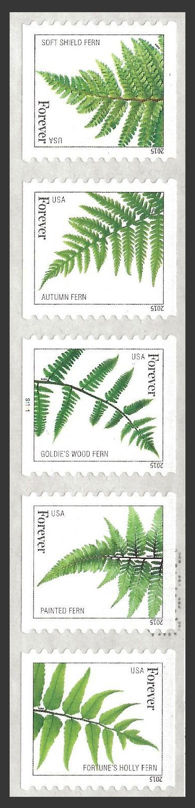 US 2015 Ferns ; Se-tenant Coil 49c.x5 Scott. 4977c