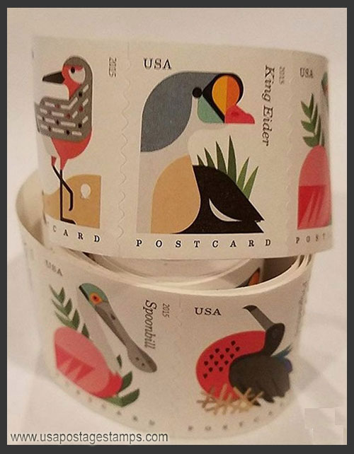 US 2015 Coastal Birds ; Coil Scott. 4998a