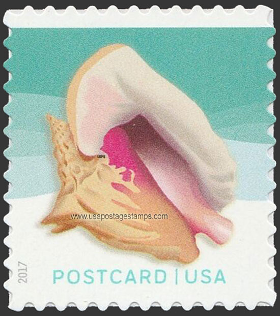 US 2017 Queen Conch : Seashells 34c. Scott. 5163