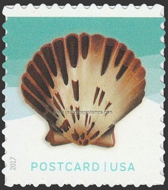 US 2017 Pacific Calico Scallop : Seashells 34c. Scott. 5164