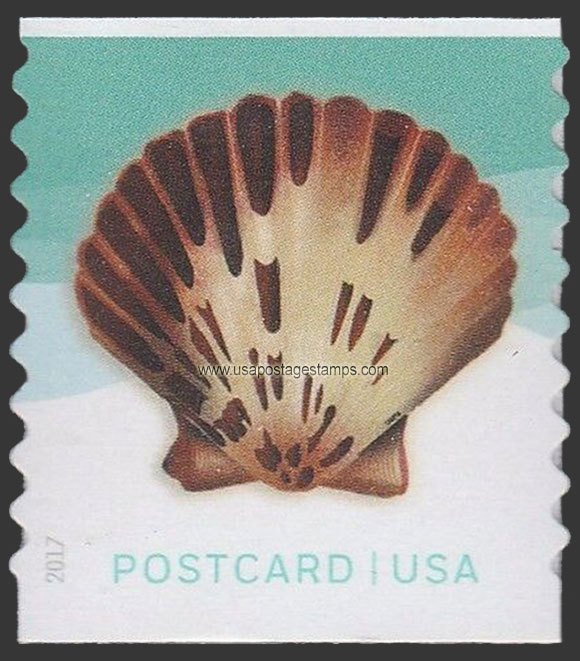 US 2017 Pacific Calico Scallop : Seashells ; Coil 34c. Scott. 5170