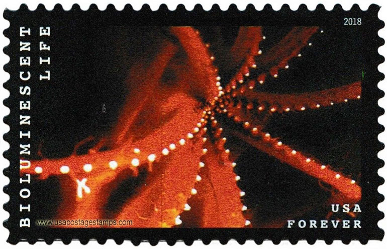 US 2018 Octopus : Bioluminescent Life 50c. Scott. 5264