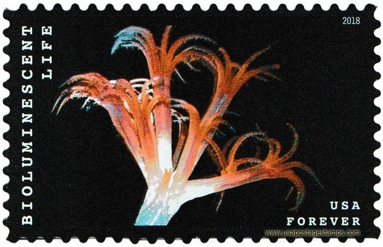 US 2018 Sea Pen : Bioluminescent Life 50c. Scott. 5273