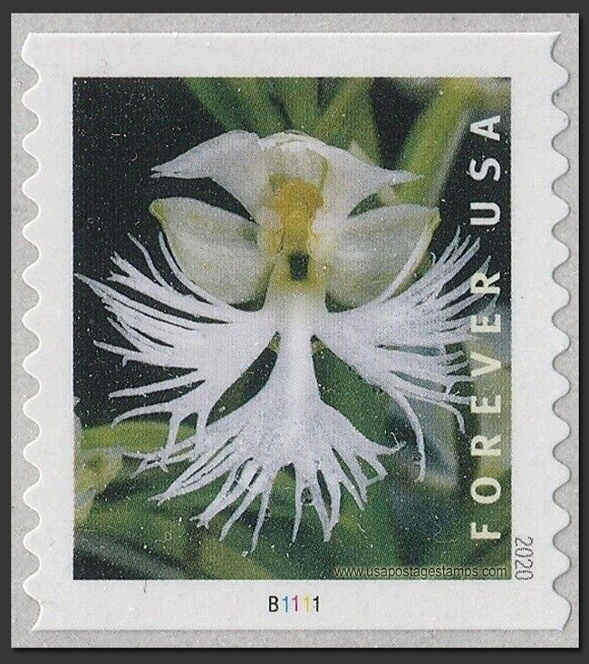 US 2020 Eastern Prairie Fringed Orchid ; Coil 55c. Scott. 5443