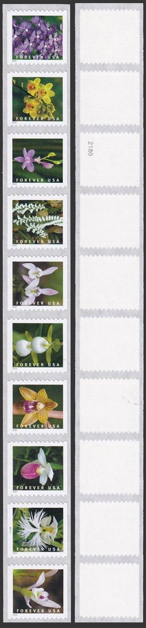 US 2020 Wild Orchids ; Se-tenant Coil 55c.x10 Scott. 5444a