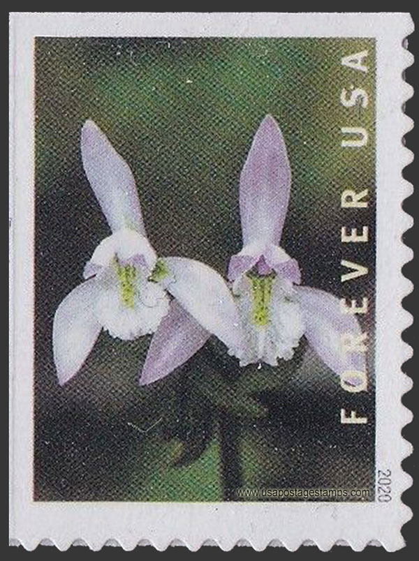 US 2020 Three Birds Orchid 55c. Scott. 5445