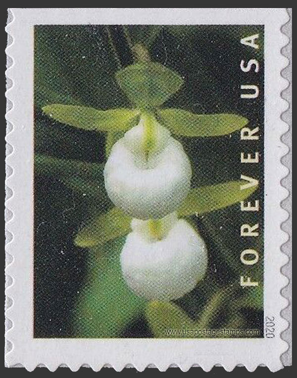 US 2020 California Lady's Slipper Orchid 55c. Scott. 5446