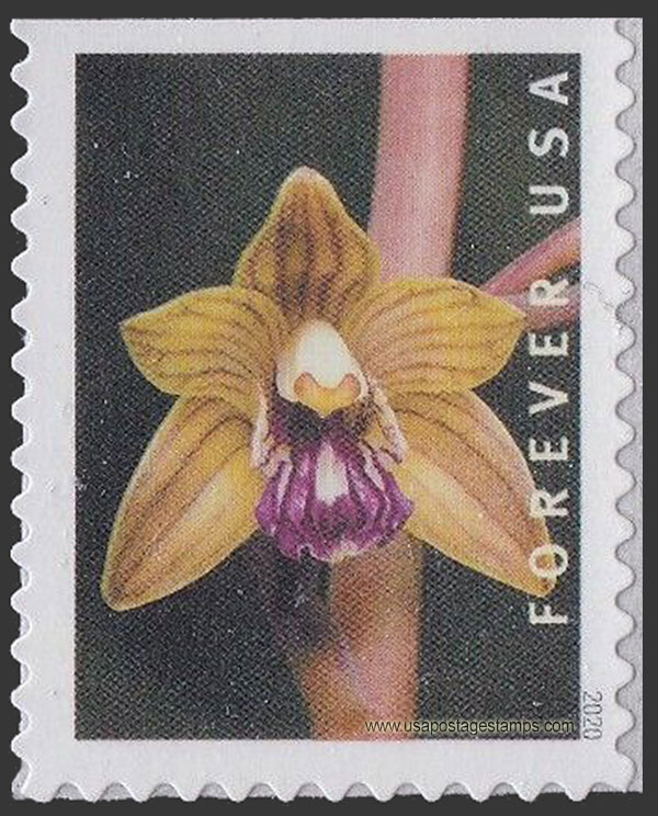 US 2020 Crested Coral Root Orchid 55c. Scott. 5447