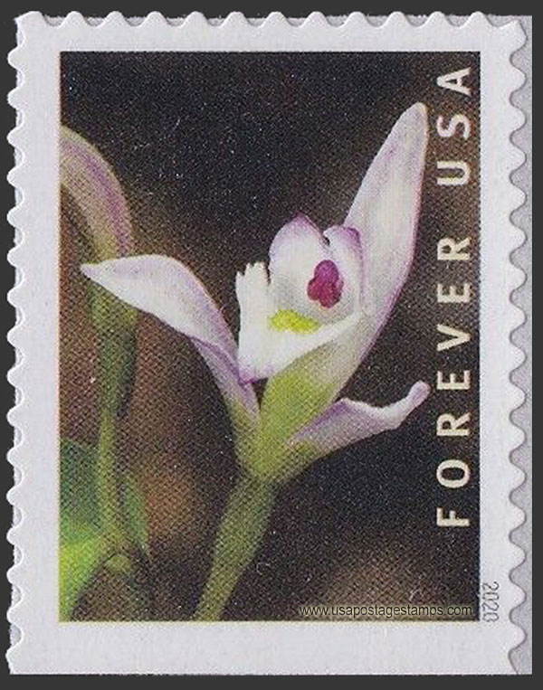 US 2020 Three Birds Orchid 55c. Scott. 5451