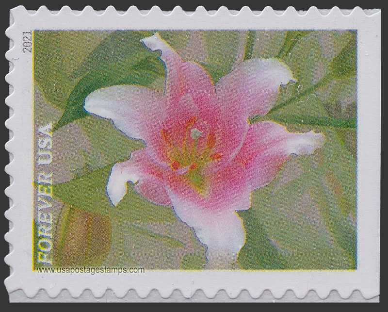 US 2021 Asiatic Lily : Garden Flowers 55c. Scott. 5565