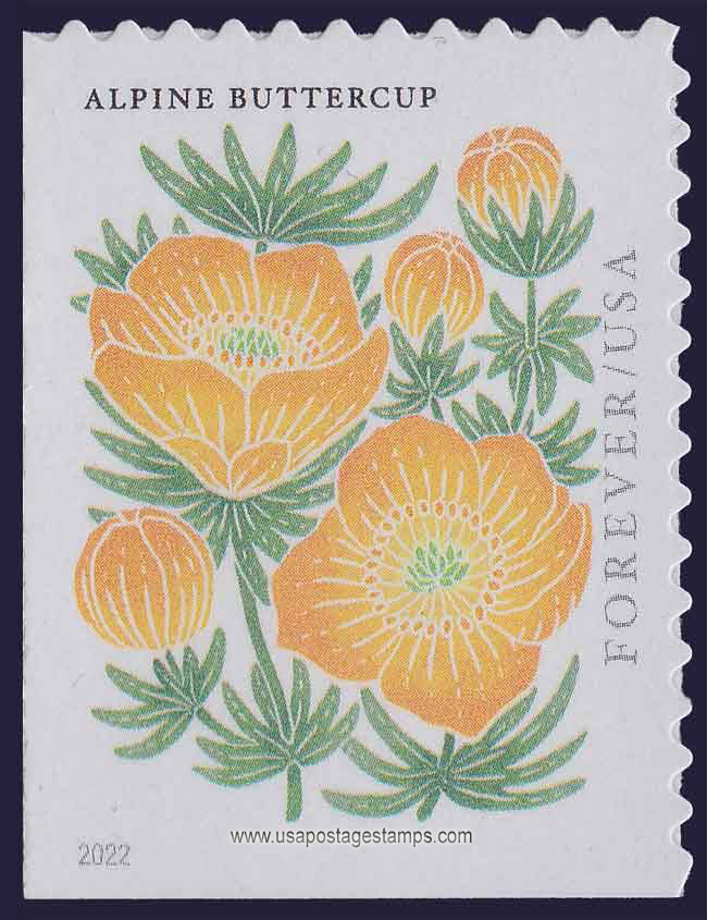 US 2022 Alpine Buttercup ; Mountain Flora 58c. Scott. 5678