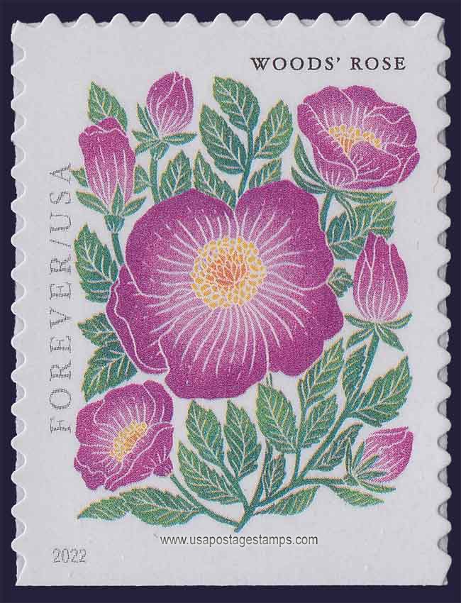 US 2022 Woods Rose ; Mountain Flora 58c. Scott. 5679