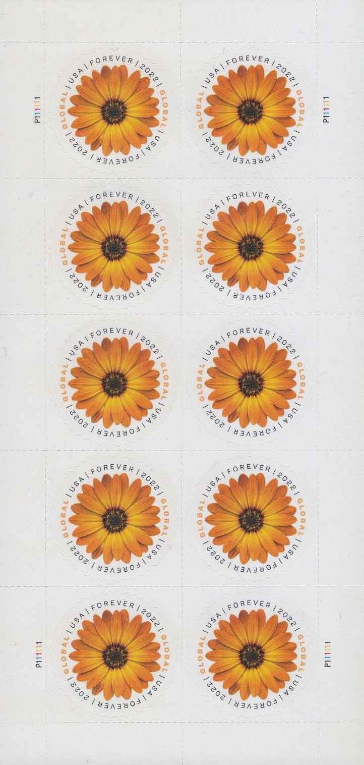 US 2022 African Daisy Flowers Mini Sheet $1.30 x10