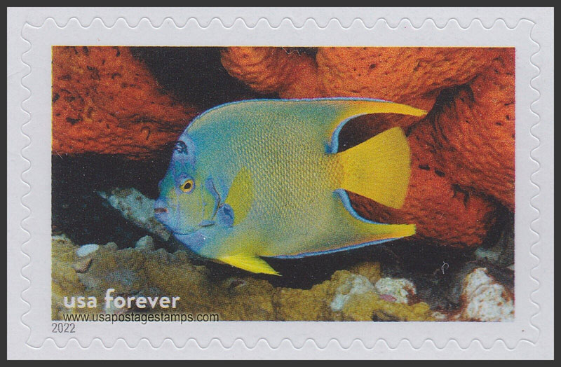 US 2022 Queen Angelfish, Flower Garden Banks Nat Marine Sanctuary 60c. Scott. 5713i