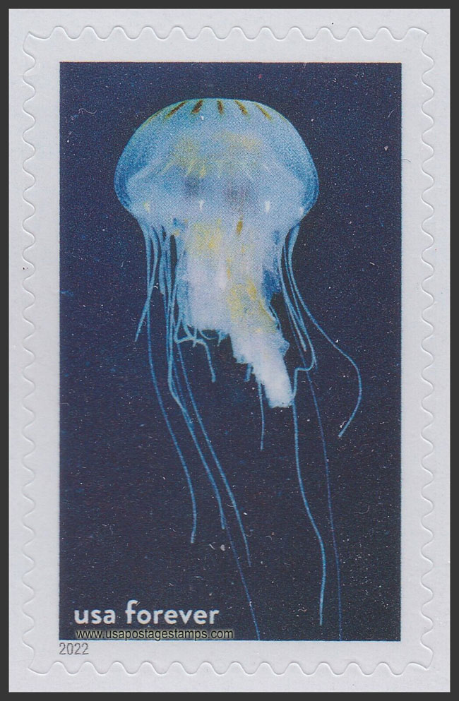 US 2022 Atlantic Sea Nettle, Gray's Reef Nat Marine Sanctuary 60c. Scott. 5713l