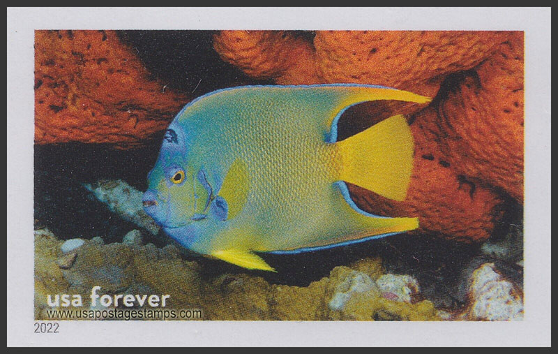 US 2022 Queen Angelfish, Flower Garden Banks Nat Marine Sanctuary 60c. Scott. 5713qi