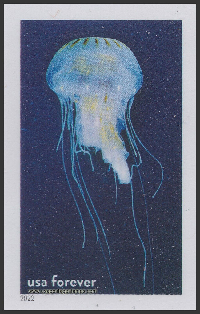 US 2022 Atlantic Sea Nettle, Gray's Reef Nat Marine Sanctuary 60c. Scott. 5713ql