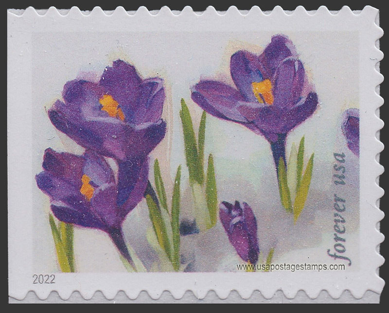 US 2022 Crocus Flowers : Snowy Beauty 60c. Scott. 5729
