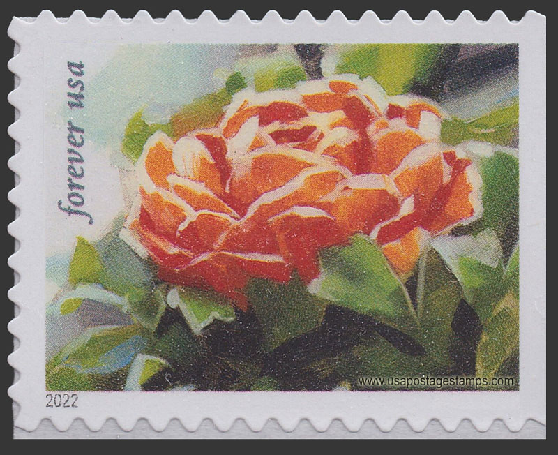 US 2022 Ranunculus : Snowy Beauty 60c. Scott. 5736
