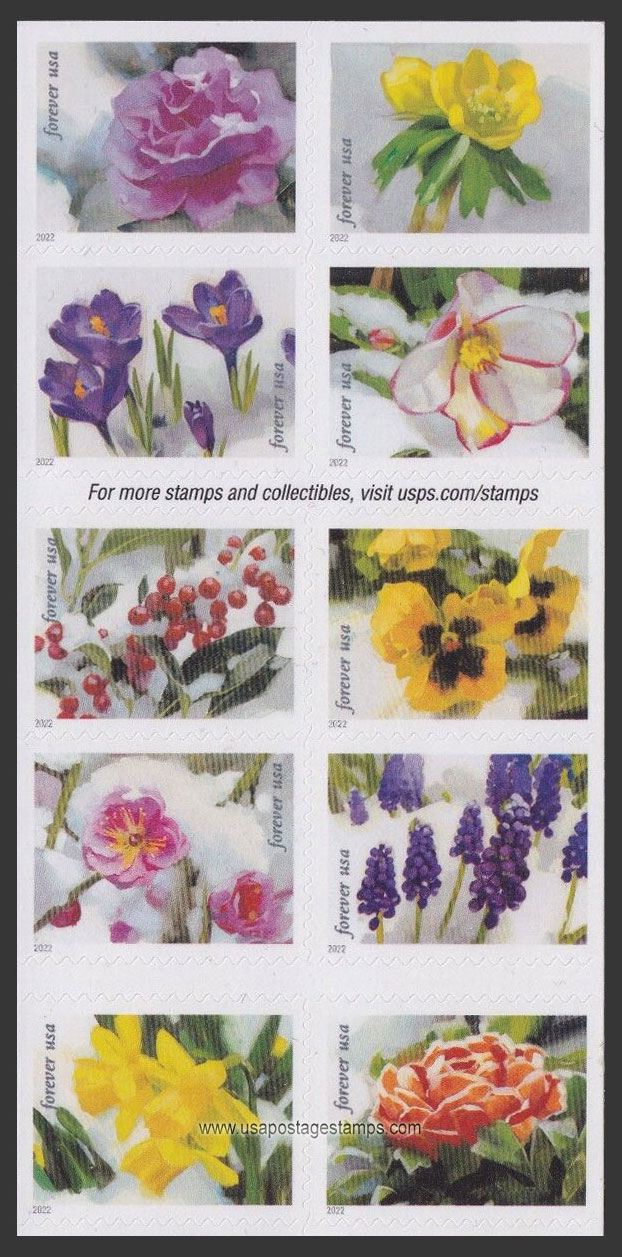US 2022 Snowy Beauty ; Booklet 60c.x10 Scott. 5736a