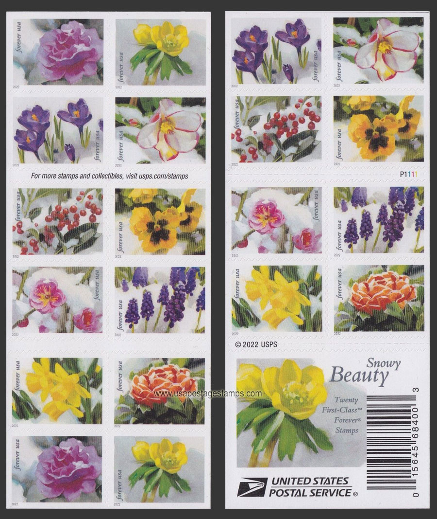 US 2022 Snowy Beauty ; Booklet 60c.x20 Scott. 5736b